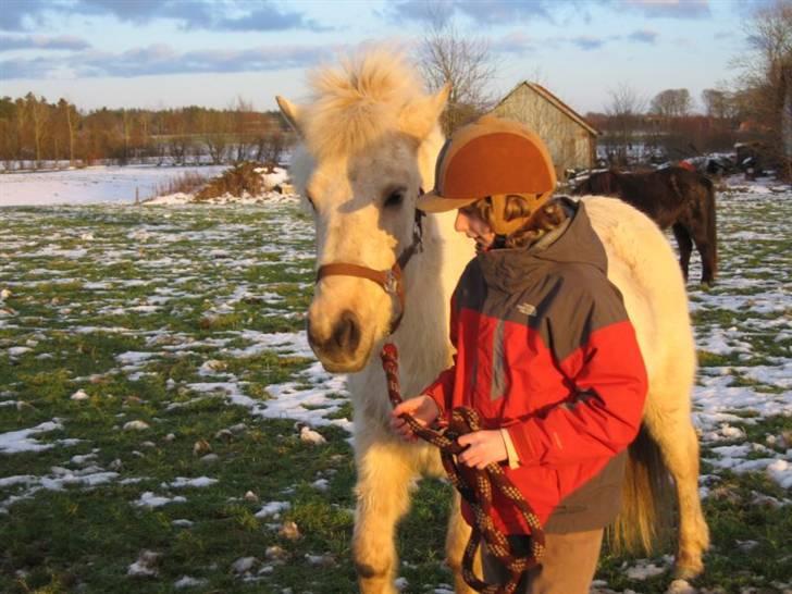 Islænder Gloa fra Bjørnhøj - vi to<3<3<3 billede 10