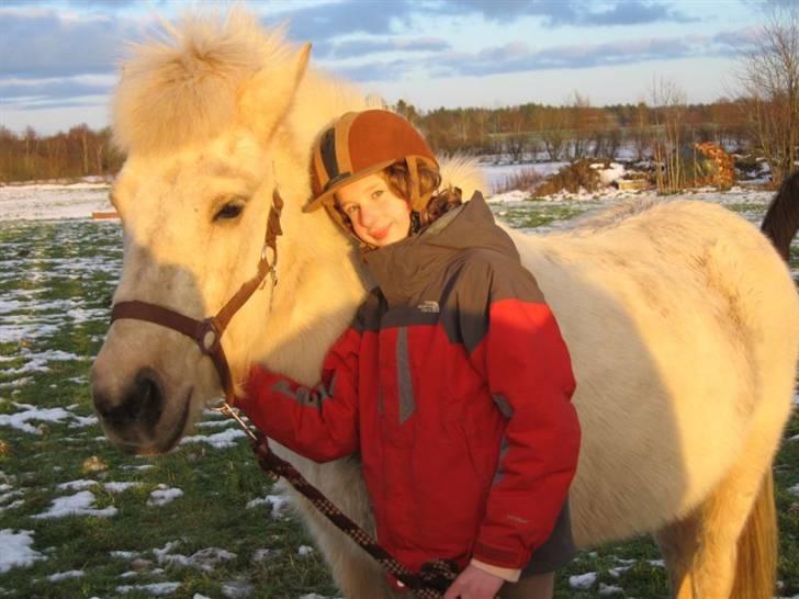 Islænder Gloa fra Bjørnhøj - Ja, jeg skal nok nusse med dig også! <3<3<3<3<3 billede 14