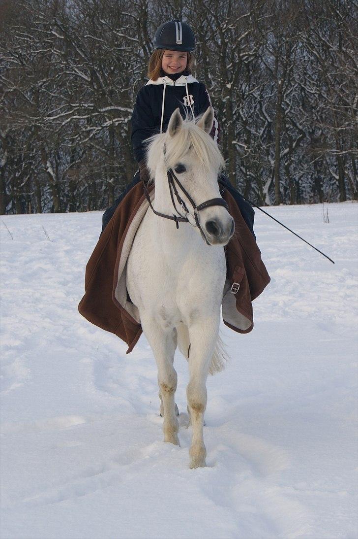 Anden særlig race Mister Elvis *solgt* - Elle og hans nye ejer :) <3 billede 4