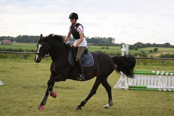 Dansk Varmblod Chi-Chi - første springtime <3 billede 14