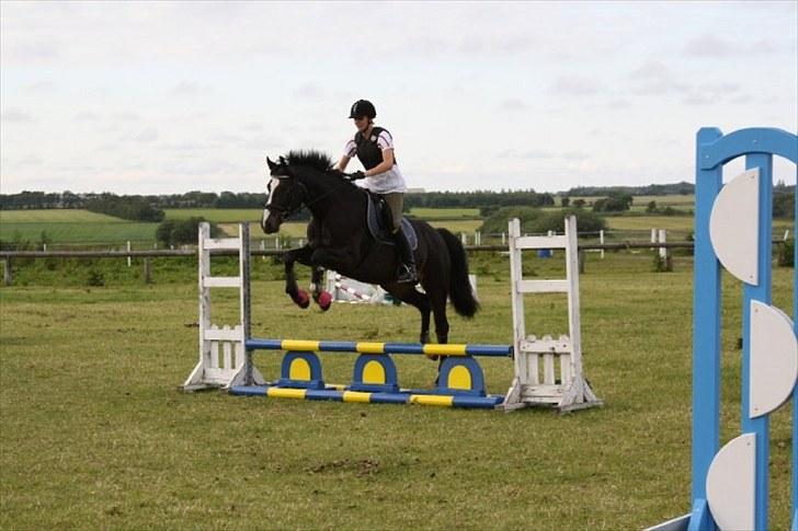 Dansk Varmblod Chi-Chi - mit og cilles første spring <3 hun var så dygtig  :-* billede 15