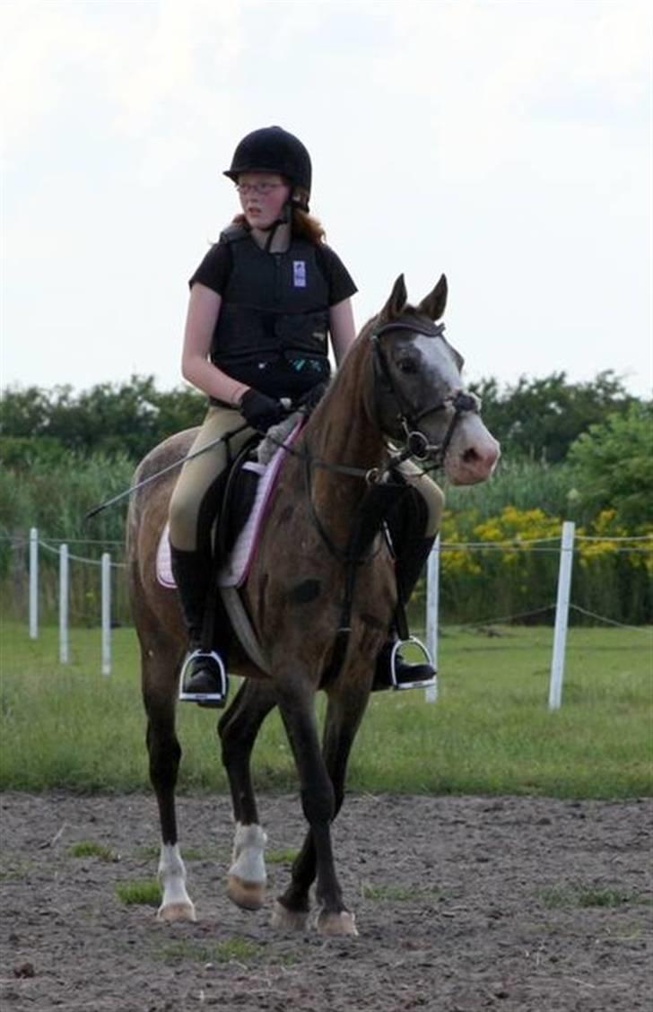 Anden særlig race Roosgårdens Frønse billede 11