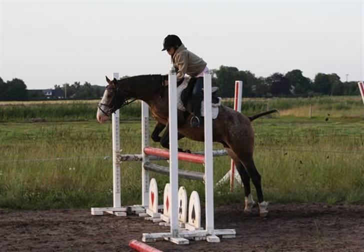 Anden særlig race Roosgårdens Frønse billede 17