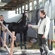 Anden særlig race Futte