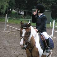 Anden særlig race Spotty