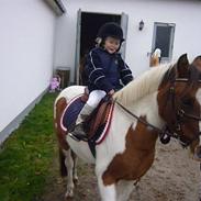 Anden særlig race Spotty