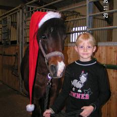 Anden særlig race bonnie