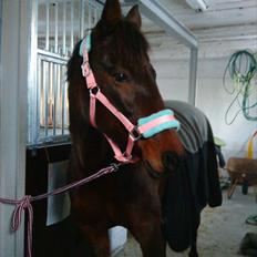 Traver April New SOLGT =(