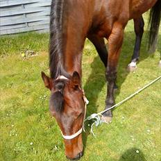 Traver April New SOLGT =(