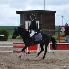 Anden særlig race Dinna<3