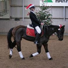 Anden særlig race Dinna<3