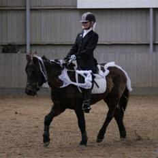 Anden særlig race Dinna<3