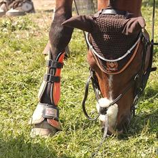 DSP Fontaine | Tidl. Låne (: