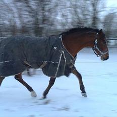 DSP Fontaine | Tidl. Låne (: