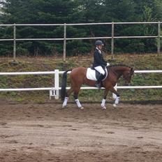 DSP Fontaine | Tidl. Låne (: