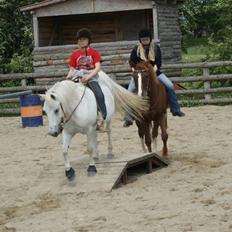 Appaloosa SSF Mr. Snip N Go