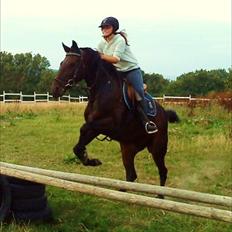 Traver Ibrahim Grau (byttet)  :(