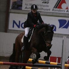 Dansk Varmblod Facit