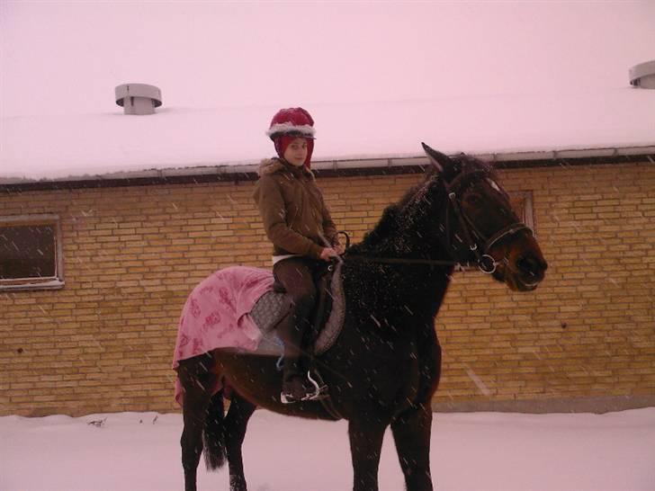 Traver Doit - Sne JUBIII vinteren 2009 billede 10