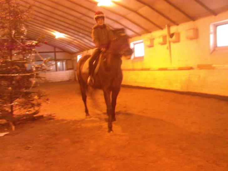 Traver Doit - vinteren 2009 billede 11