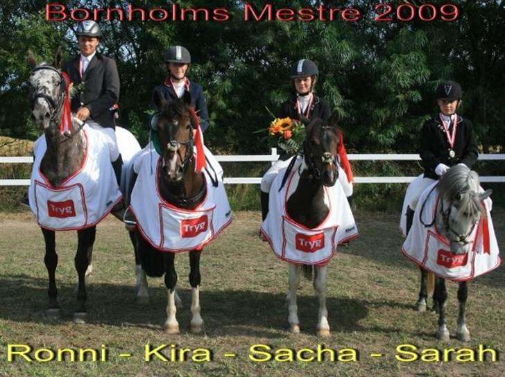 Anden særlig race Mille. - (SOLGT) - Bornholmsmestre i spring 2009! :´) Pony? Du var helt igennem perfekt, og vil altid være det. billede 20