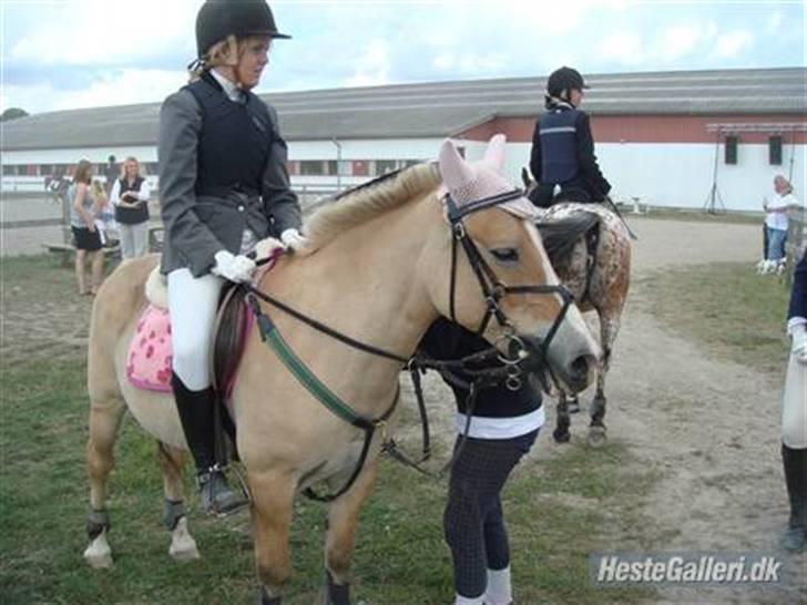 Anden særlig race Pony<3:) - taget af michelle dalsing pony´s gammle ejer.i, billede 6