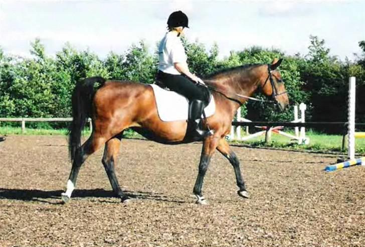 Anden særlig race Speedy - Træningssamling i Genner billede 8