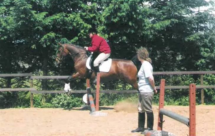 Anden særlig race Speedy - Venskabsstævne, LC billede 10