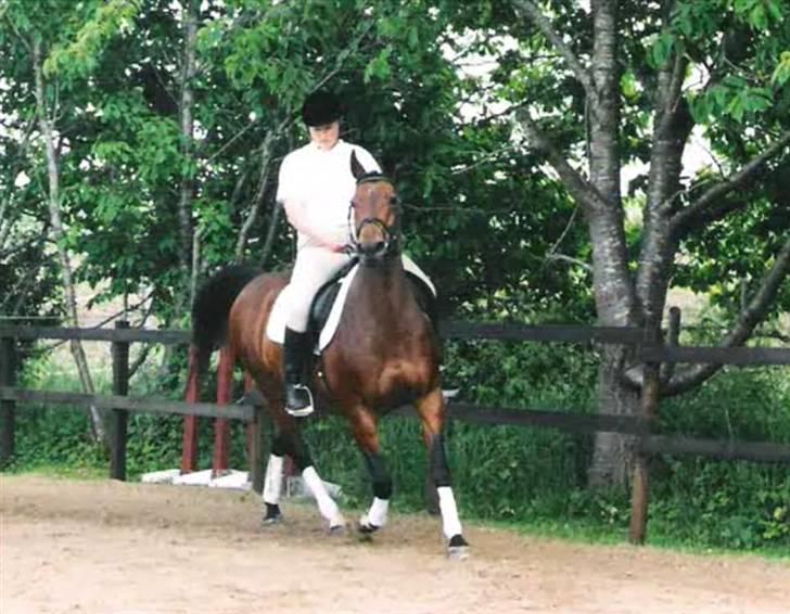 Anden særlig race Speedy - Venskabsstævne, LC 2  billede 13