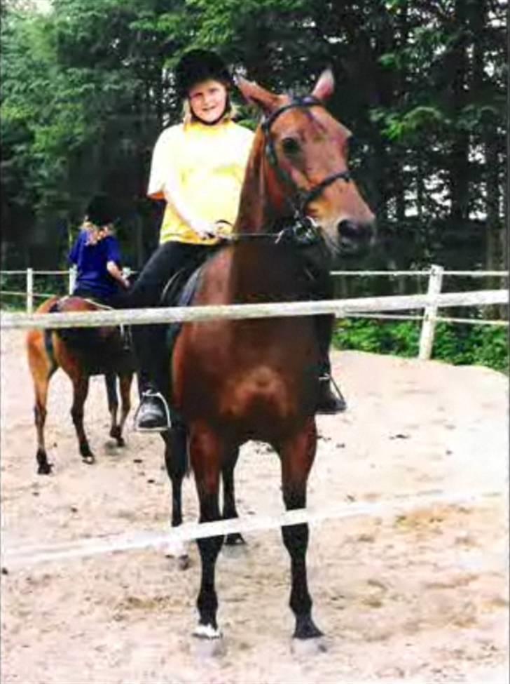 Anden særlig race Speedy - Ridelejr på Mønterhøj billede 16