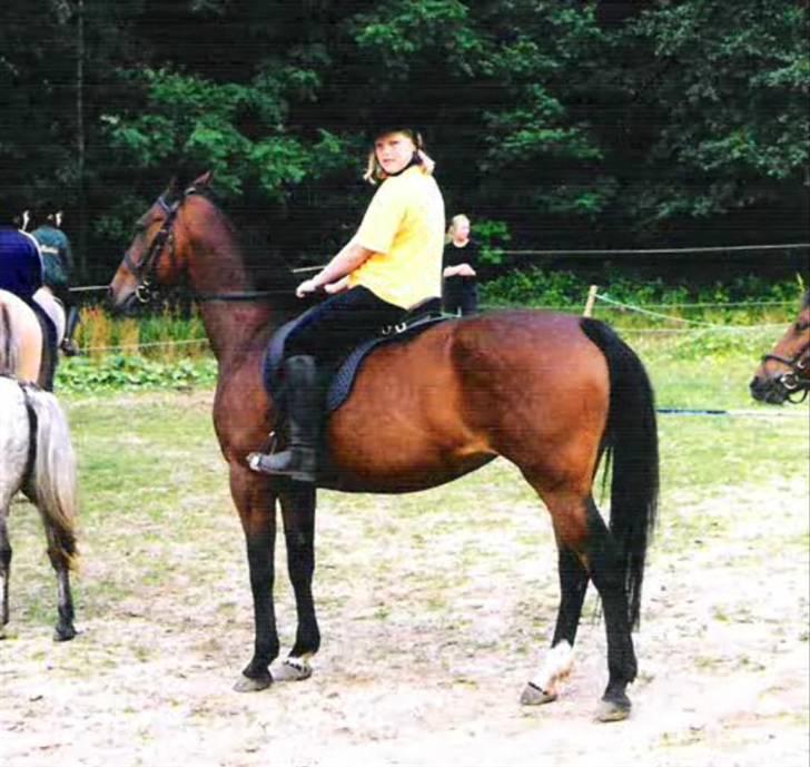 Anden særlig race Speedy - Ridelejr på Mønterhøj, ringridning billede 18