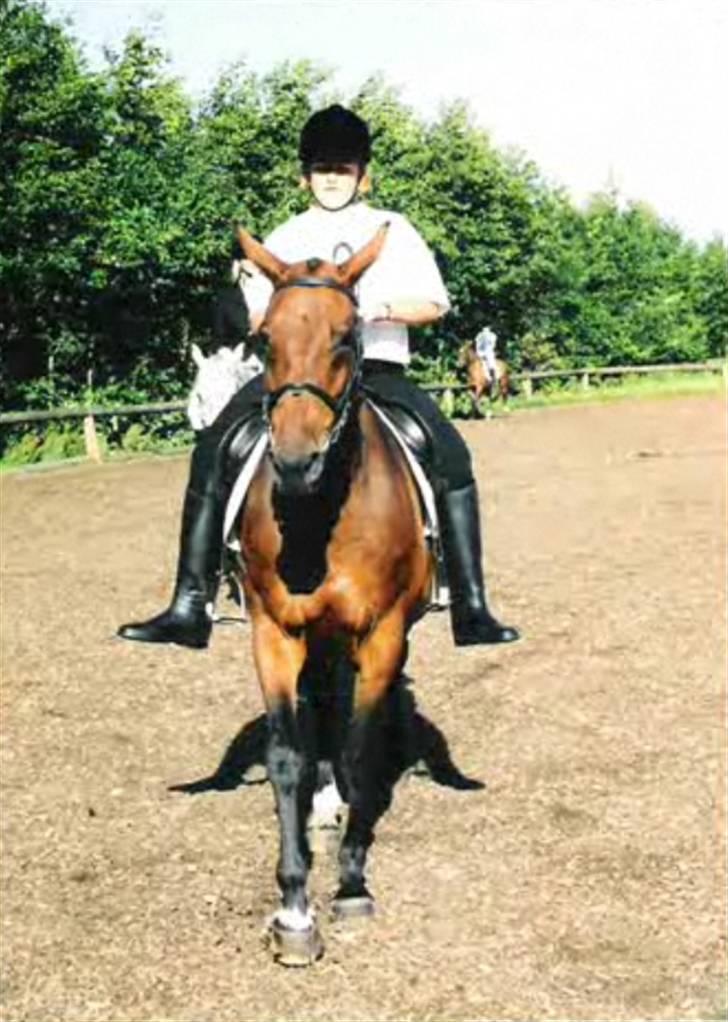 Anden særlig race Speedy - Træningssamling i Genner billede 19