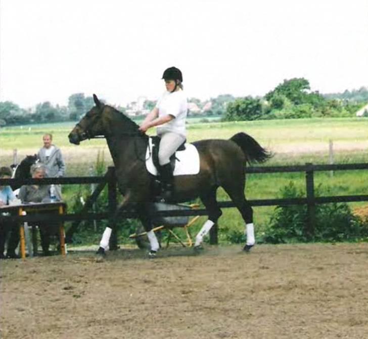 Anden særlig race Speedy - Venskabsstævne, LC 2  billede 20