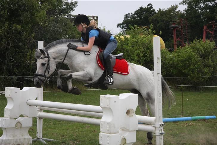 Anden særlig race PRIK. - hjemme hos dalle! :D billede 19