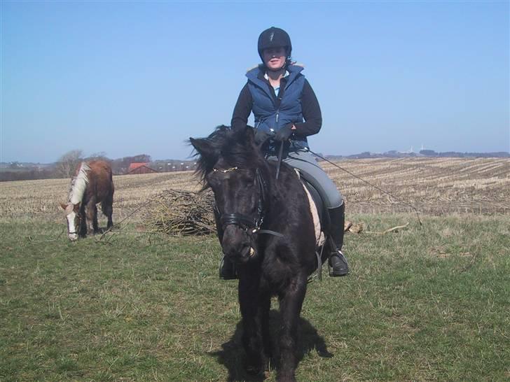 Anden særlig race Damgaards Sir James. +død+ :'( - tilridning april 09 kun 3. gang nogen rigtig rider ham billede 10