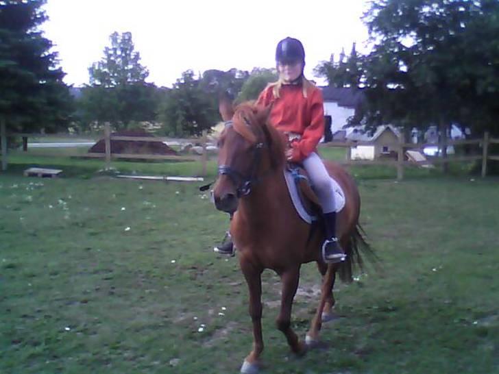 Anden særlig race Emma¤rider ikk mere¤ billede 9