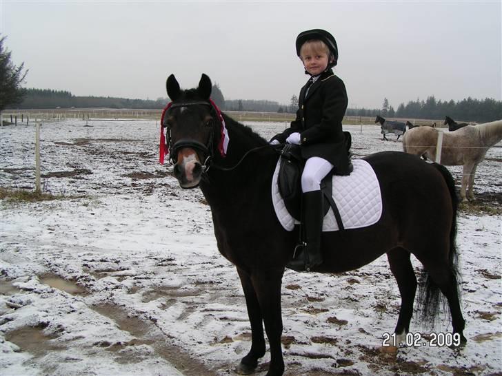 Anden særlig race bonnie billede 2