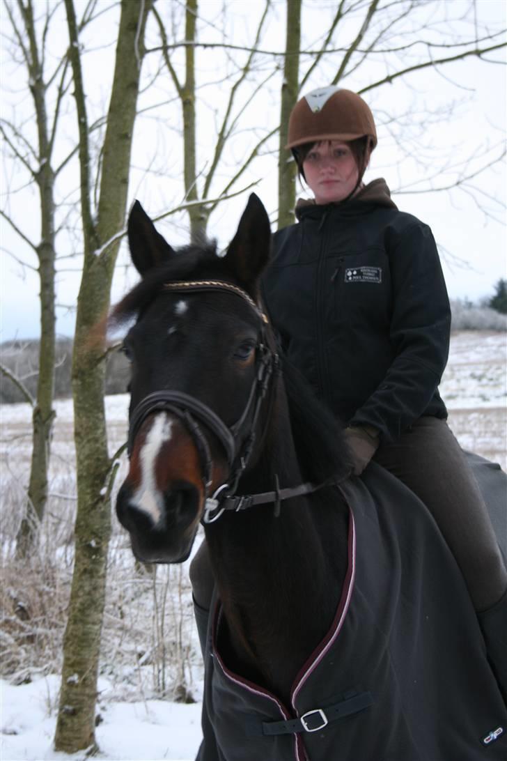 Anden særlig race Madonna *Himmelhest* <3 - <3 - vinter 2009 billede 7