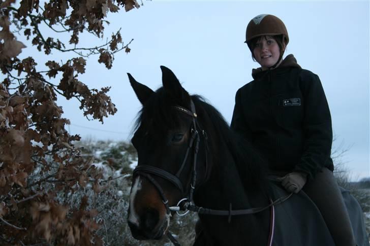 Anden særlig race Madonna *Himmelhest* <3 - Madonna - Vinter 2009 billede 9