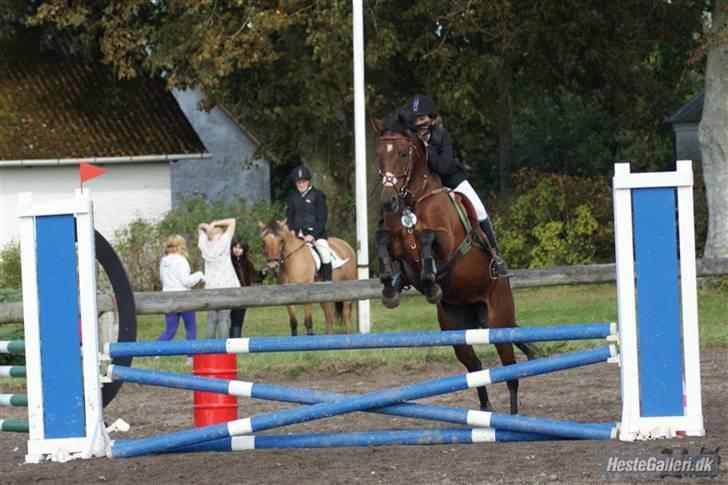 Anden særlig race Bonnie - Billed: Nadiiih.... LB i gedsted billede 12