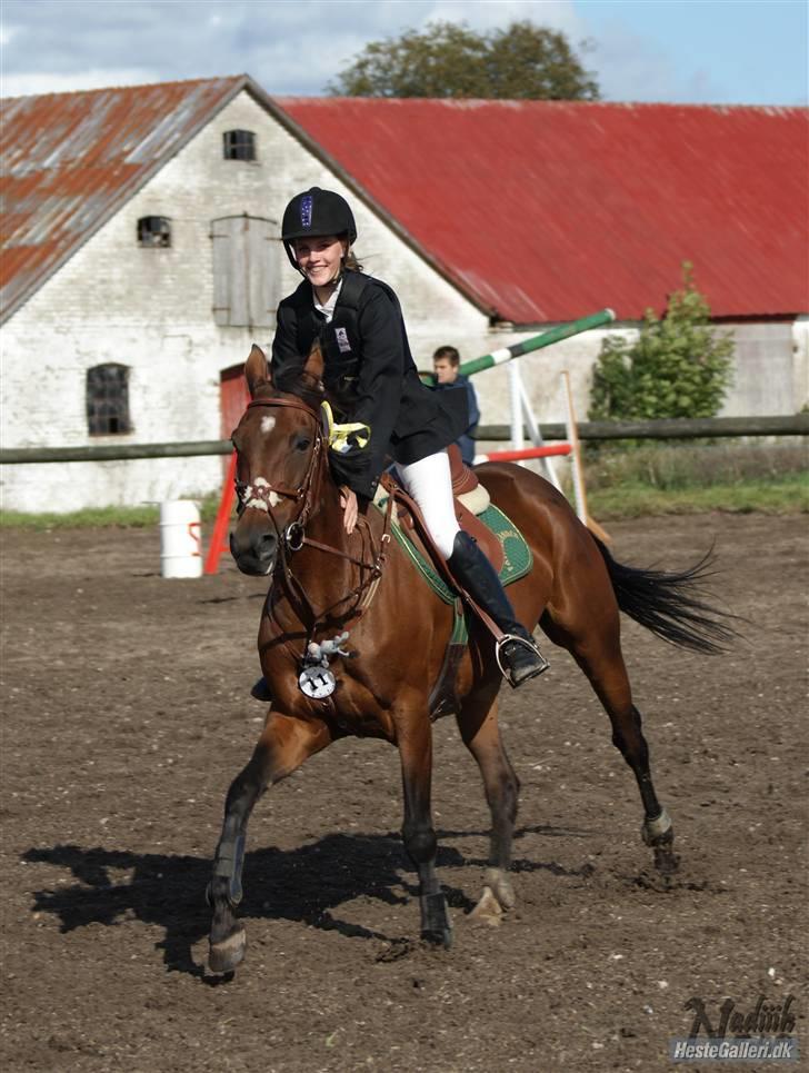 Anden særlig race Bonnie - Billed: Nadiiih billede 13