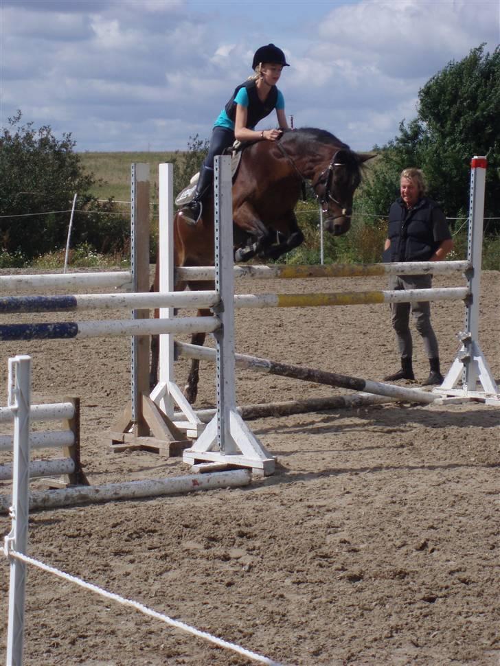 DSP  Bæklunds Malacca - hun reder mig<3 year hun er bare den bedste:) Ca. 120:) billede 8