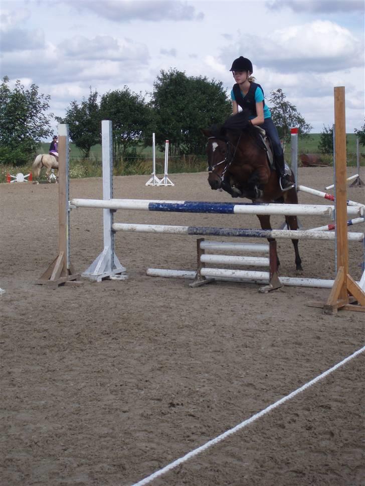 DSP  Bæklunds Malacca - Du gør alt for mig<3<3<3<3 billede 13