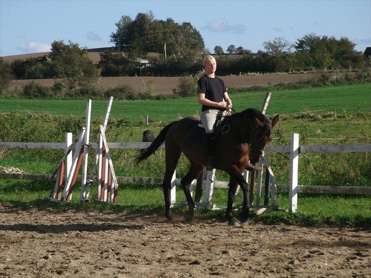 Traver Regitze Højgård R.I.P - 30/09-2010 Regitze og jeg træner dressur . (:  billede 4