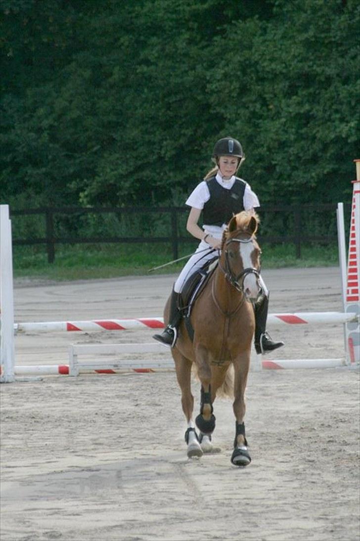 New Forest Tony<3 - Tony og jeg til stævne 80 cm den. 4 August 2010 <3 billede 3