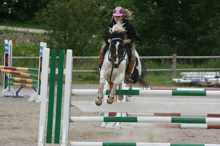 Anden særlig race Winnetou - 3# d. 26/06-10 banetræning LA FOTOGRAF: min far billede 3