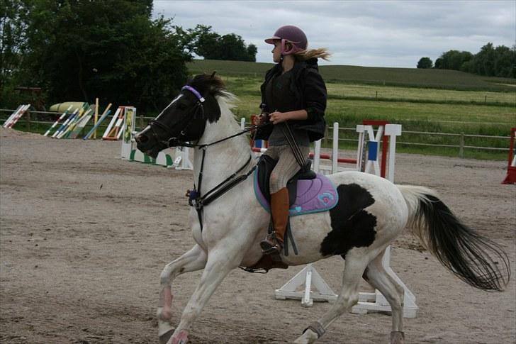 Anden særlig race Winnetou - 7# banetræning LA på KAR d. 26/06-10 FOTOGRAF: min far billede 7