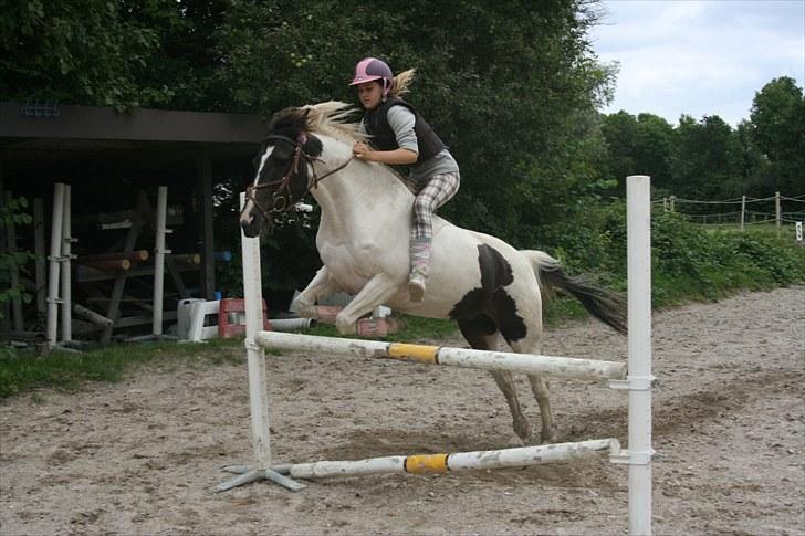 Anden særlig race Winnetou - 10# 21/08-10 springer uden sadel - det er 90 cm! :D FOTOGRAF: SIK-photo med mit kamera billede 10