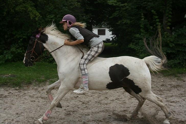 Anden særlig race Winnetou - 20# 21/08-10 springning uden sadel :D FOTOGRAF: SIK-photo med mit kamera billede 20