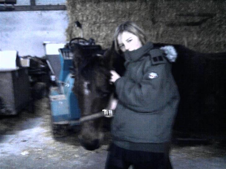 Anden særlig race trunde - søde trunde  billede 7